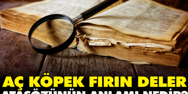 ac-kopek-firin-deler-atasozunun-manasi-nedir-9YFNppgS.jpg