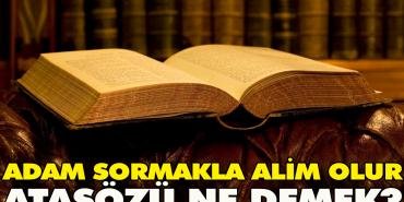 adam-sormakla-alim-olur-atasozu-ne-demek-9duVwAlT.jpg
