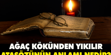 agac-kokunden-yikilir-atasozunun-manasi-nedir-jbrfRbsW.jpg