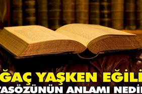 agac-yasken-egilir-atasozunun-manasi-nedir-lxv3Qhyf.jpg