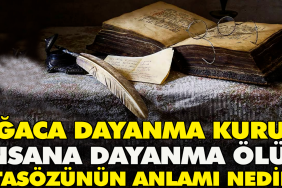 agaca-dayanma-kurur-besere-dayanma-olur-atasozunun-manasi-nedir-nrS5nNVV.jpg