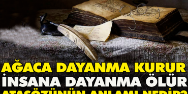 agaca-dayanma-kurur-besere-dayanma-olur-atasozunun-manasi-nedir-nrS5nNVV.jpg
