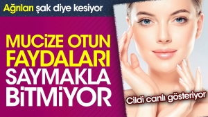 agrilari-sak-diye-kesiyor-cildi-canli-gosteriyor-mucize-otun-yararlari-saymakla-bitmiyor-ckrgGk1R.jpg