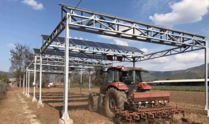 agrivoltaik-tarim-nedir-ciftcilerin-iklim-degisikligiyle-basa-cikmasini-kolaylastirabilir-mi-ua5JXbFf.png