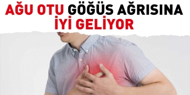 agu-otu-gogus-agrisina-guzel-geliyor-qOkwcHeK.jpg
