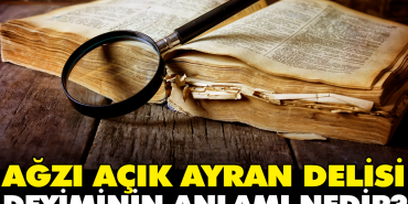 agzi-acik-ayran-meczubu-tabirinin-manasi-nedir-HrglCgGO.jpg
