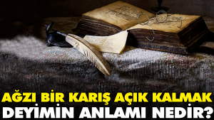 agzi-bir-karis-acik-kalmak-tabirin-manasi-nedir-DvXi3tlu.jpg