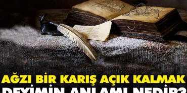 agzi-bir-karis-acik-kalmak-tabirin-manasi-nedir-DvXi3tlu.jpg
