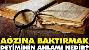 agzina-baktirmak-tabirinin-manasi-nedir-2EYaEfnR.jpg