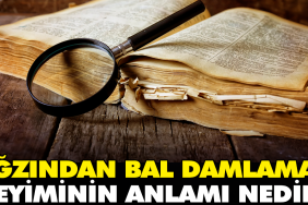 agzindan-bal-damlamak-tabirinin-manasi-nedir-ihmLUxuU.jpg