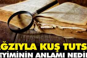 agziyla-kus-tutsa-tabirinin-manasi-nedir-25GJNR1c.jpg