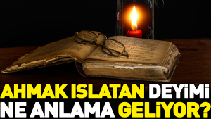 ahmak-islatan-tabirinin-manasi-nedir-Lr2LDqHT.jpg