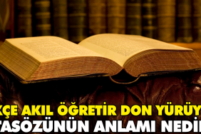 akce-akil-ogretir-don-yuruyus-atasozunun-manasi-nedir-YtHzLt31.jpg