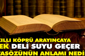 akilli-kopru-arayincaya-dek-meczup-suyu-gecer-atasozunun-manasi-nedir-f2GeDiz9.jpg