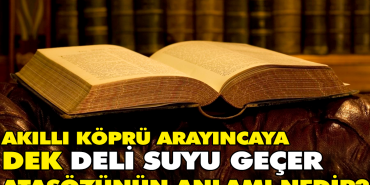 akilli-kopru-arayincaya-dek-meczup-suyu-gecer-atasozunun-manasi-nedir-f2GeDiz9.jpg