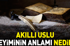 akilli-uslu-tabirinin-manasi-nedir-aLXYstLG.jpg