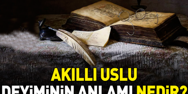 akilli-uslu-tabirinin-manasi-nedir-aLXYstLG.jpg