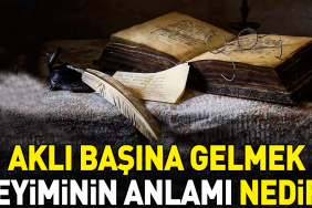 akli-basina-gelmek-tabirinin-manasi-nedir-lqp4l3Pk.jpg