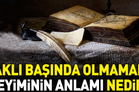 akli-basinda-olmamak-tabirinin-manasi-nedir-DcSnBG7K.jpg