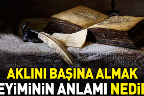 aklini-basina-almak-tabirinin-manasi-nedir-QC9OXJdG.jpg
