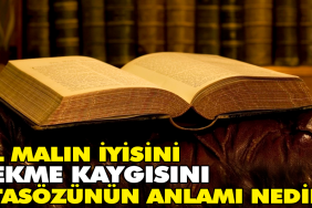 al-malin-guzelini-cekme-korkusunu-atasozunun-manasi-nedir-7rmgVwOA.jpg