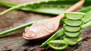 aloe-vera-bitkisi-nasil-yenir-iste-tuketebilmeniz-icin-5-usul-dg5i7Q8R.jpg