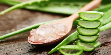 aloe-vera-bitkisi-nasil-yenir-iste-tuketebilmeniz-icin-5-usul-dg5i7Q8R.jpg