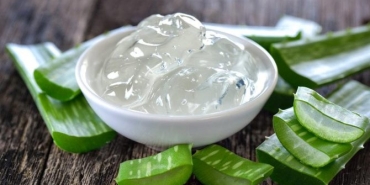 aloe-vera-nedir-aloe-veranin-sihhatimize-yararlari-nelerdir-wPTj3bOE.jpg