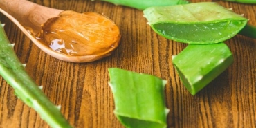 aloe-vera-neye-duzgun-geliyor-aloa-veranin-yararlari-nelerdir-P1I3ZydT.jpg