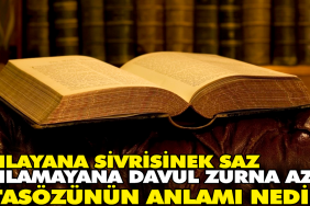 anlayana-sivrisinek-saz-anlamayana-davul-zurna-az-atasozunun-manasi-nedir-cORZfutm.jpg