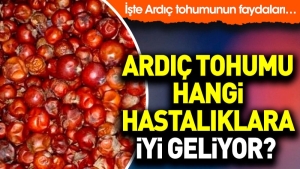 ardic-tohumu-hangi-hastaliklara-uygun-geliyor-iste-ardic-tohumunun-faydalari-r8rFO9kg.jpg