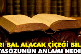 ari-bal-alacak-cicegi-bilir-atasozunun-manasi-nedir-GkqgzV68.jpg