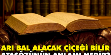 ari-bal-alacak-cicegi-bilir-atasozunun-manasi-nedir-GkqgzV68.jpg