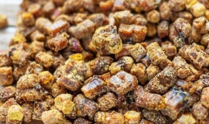 ari-ekmegi-perga-nedir-ari-ekmegi-kullanim-alanlari-nelerdir-6PkNfiHQ.jpg