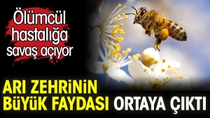 ari-zehrinin-buyuk-yarari-ortaya-cikti-olumcul-hastaliga-yeterli-geliyor-SF3K7F12.jpg