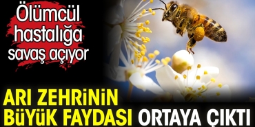 ari-zehrinin-buyuk-yarari-ortaya-cikti-olumcul-hastaliga-yeterli-geliyor-SF3K7F12.jpg