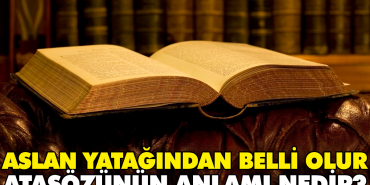 aslan-yatagindan-muhakkak-olur-atasozunun-manasi-nedir-6q96Z27n.jpg