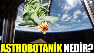 astrobotanik-nedir-7i7HKGbq.jpg