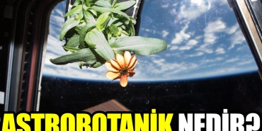 astrobotanik-nedir-7i7HKGbq.jpg