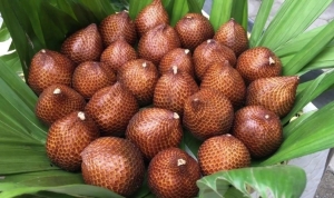 asyalilarin-uzun-omrunun-sirri-bu-meyvede-gizli-hem-ismi-hem-de-yararlari-ile-herkesi-CplC2GzX.jpg