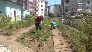 atatohumda-yazlik-fideler-toprakla-bulustu-PICXDLn7.jpg