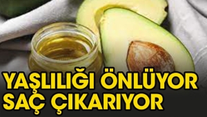 avokado-sifa-bombasi-9uZ6s6Yz.jpg