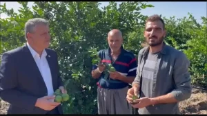 ayhan-barut-limon-ureticisi-o-denli-perisan-ki-agaclarini-sokmeye-basladilar-bunlarin-hepsi-ulusal-C7NGzDmF.jpg