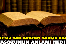 ayipsiz-y-r-arayan-y-rsiz-kalir-atasozunun-manasi-nedir-vH9mqbe7.jpg