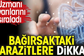 bagirsaktaki-parazitlere-dikkat-uzmani-ihtarlarini-siraladi-ueVctJWw.jpg