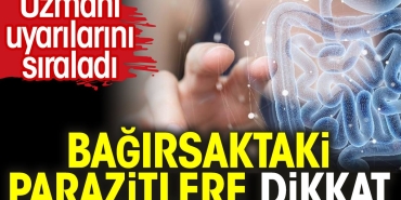 bagirsaktaki-parazitlere-dikkat-uzmani-ihtarlarini-siraladi-ueVctJWw.jpg