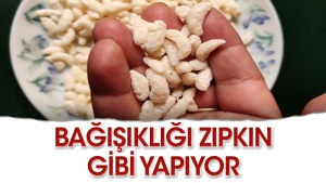 bagisiklik-sistemini-zimba-uzere-yapiyor-cBdLvYRt.jpg