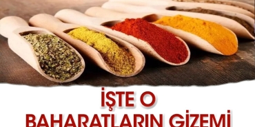 baharatlar-hakikat-kullanildiginda-faydali-DdQ7bUG7.jpg