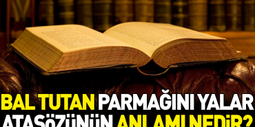 bal-tutan-parmagini-yalar-atasozunun-manasi-nedir-BRfZujPl.jpg