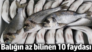 baligin-az-bilinen-10-yarari-XH48xyWF.jpg